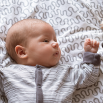 10 Ways to Safely Introduce Your Pets to a New Baby