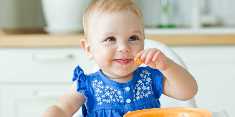 What is Baby-Led Weaning?